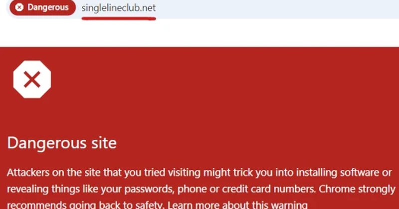 SingleLineClub: Concerns Grow Over Potential Ponzi Structure